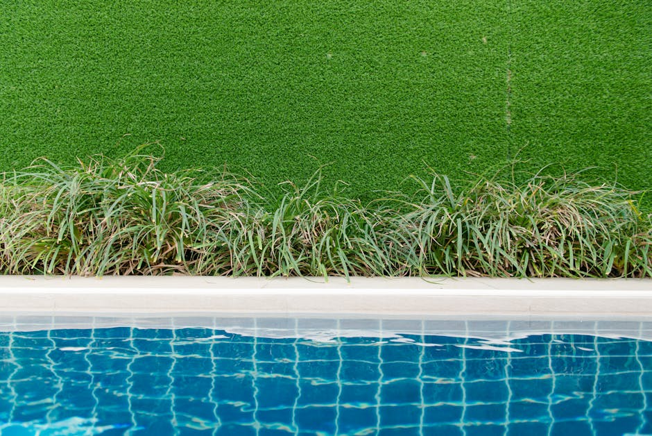 Landscape after professional service