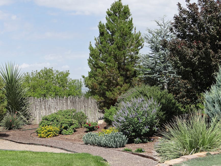 Property after landscape management