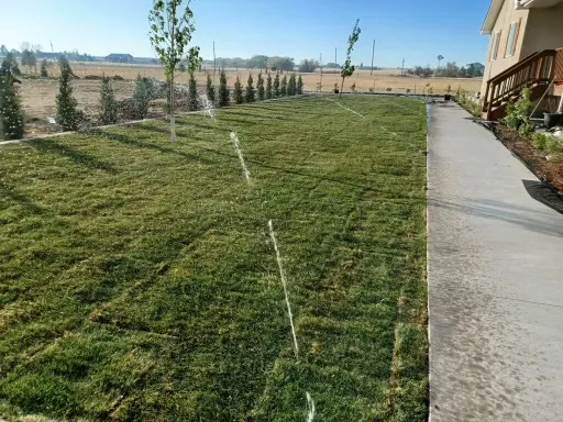Property after landscape management