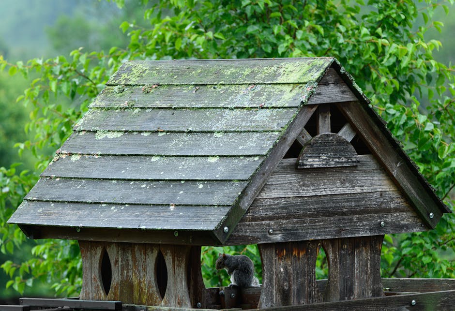 Property before landscape management
