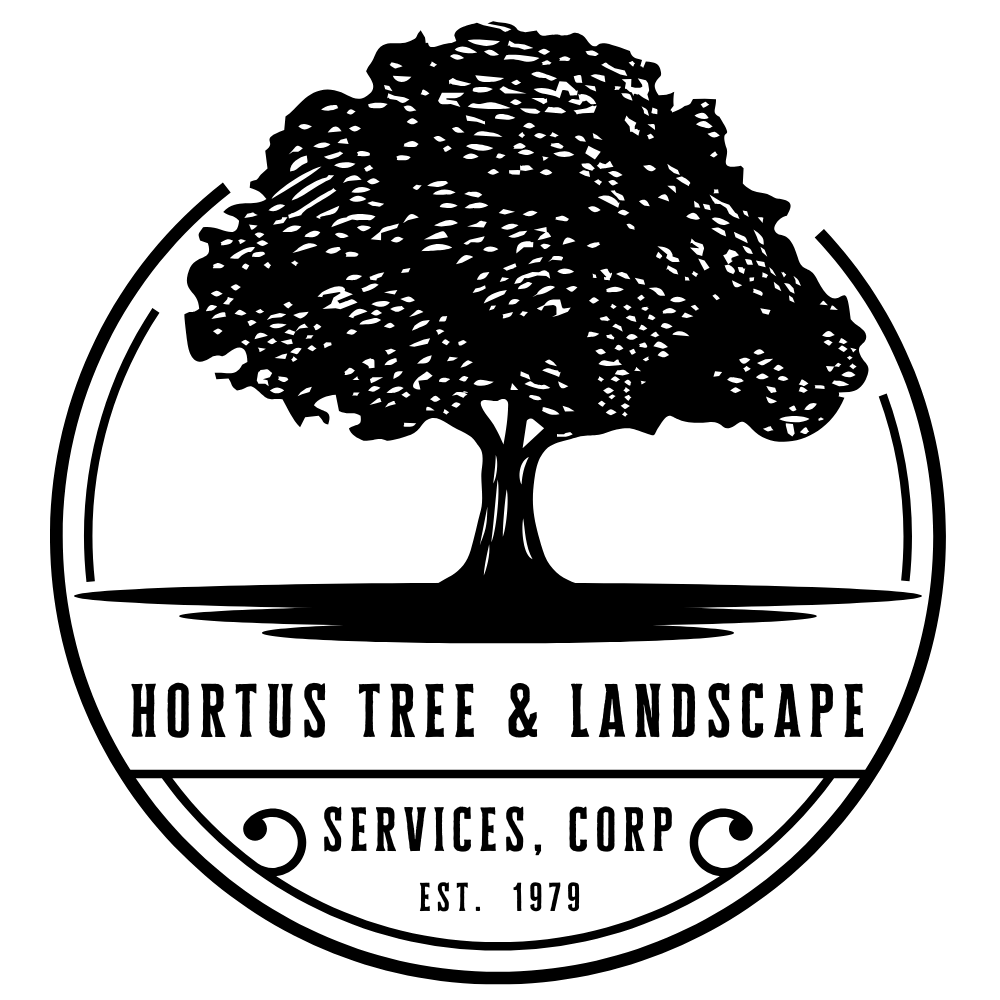 Hortus Tree & Landscape Services Logo