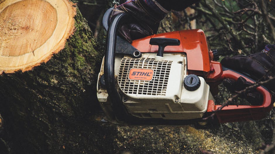 Professional stump grinding services Colorado Springs